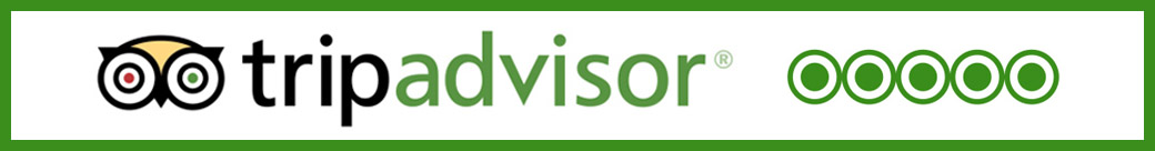 tripadvisor logo