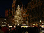 Munich Christmas tree